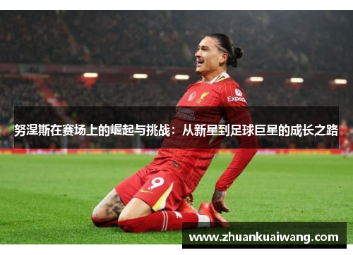 努涅斯在赛场上的崛起与挑战：从新星到足球巨星的成长之路